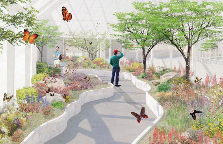 Butterfly Conservatory