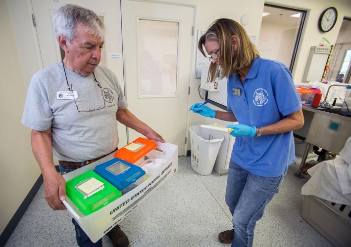 Tucson Wildlife Center