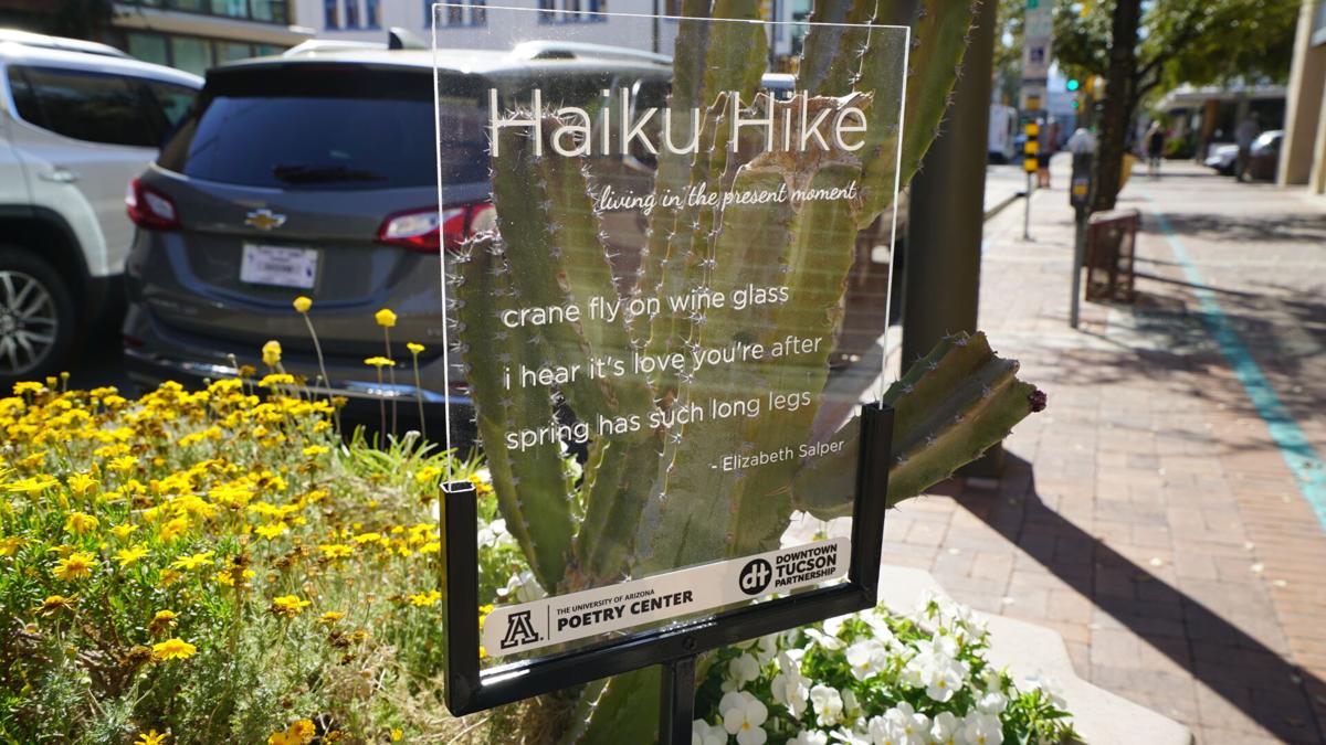Haiku Hike