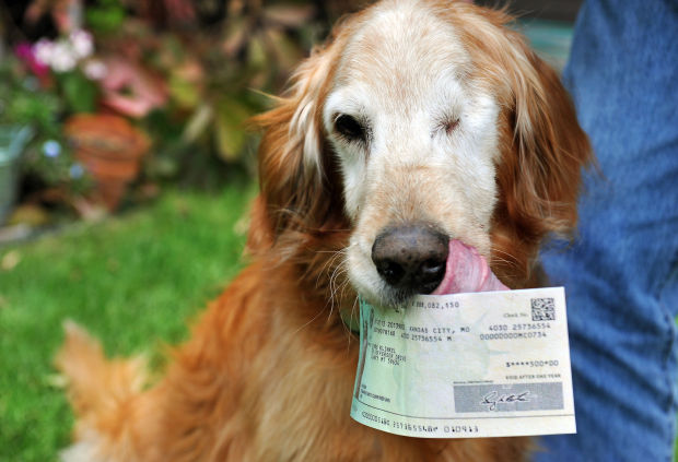 Animal shots of the week