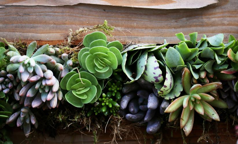 Miniature Pallet Garden Class