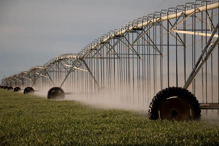 Arizona's groundwater regulation weaknesses exploited by industrial-scale agriculture