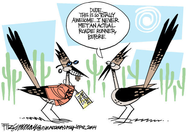 Last Laugh Bird brains