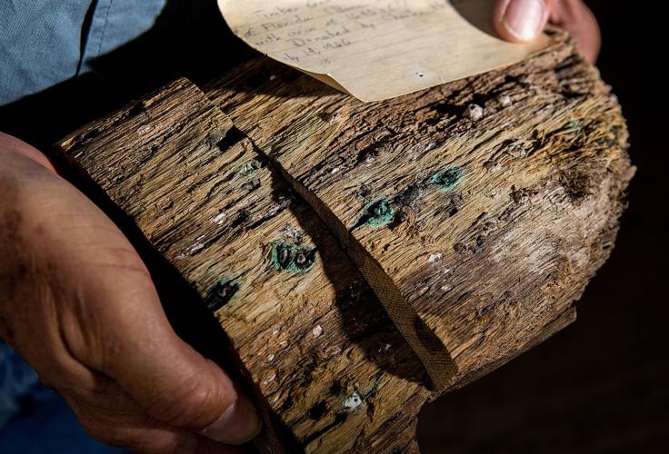 Shipwreck wood remnant