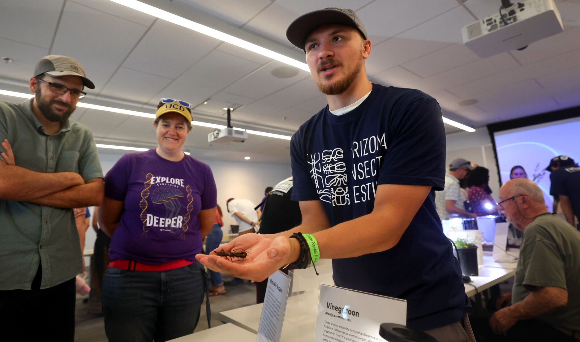 13th annual Arizona Insect Festival