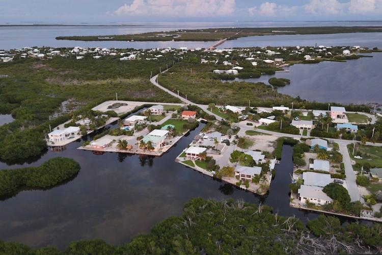 Climate Florida Key Deer