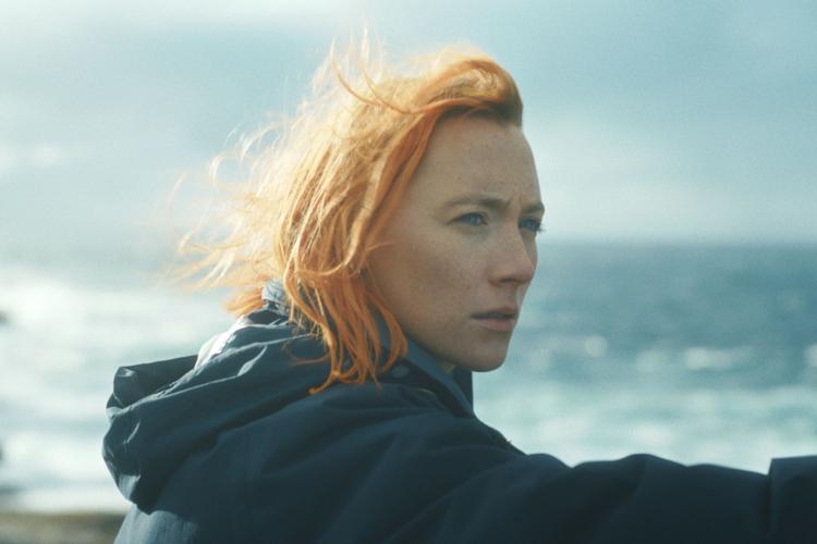 Golden-Globe-Nominations - Snubs and Surprises