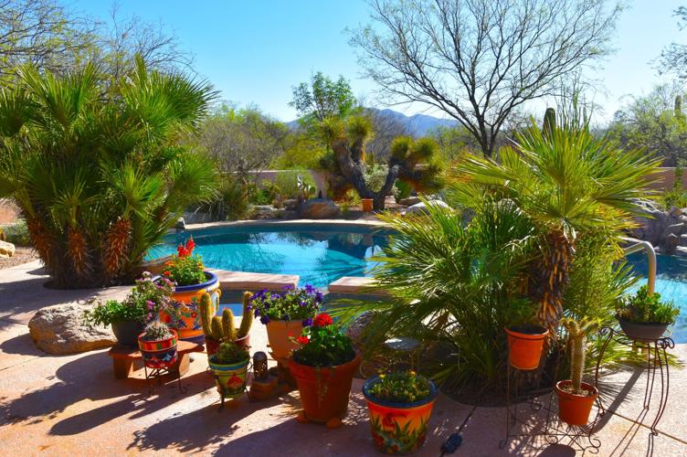 2022 Home Garden tour Williams garden