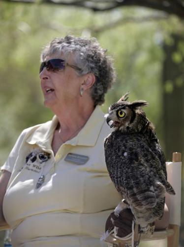 Show of desert plants, critters    