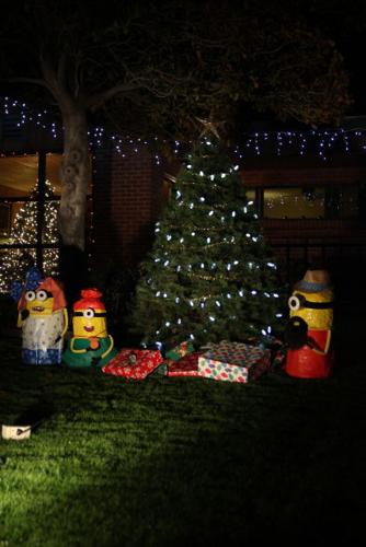 Winterhaven Festival of Lights 2013