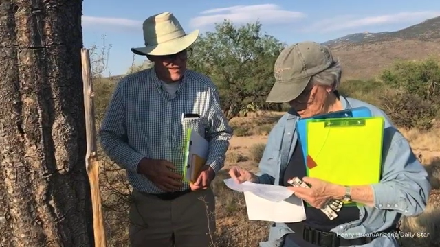 Tucson couple kept epic saguaro study alive for decades