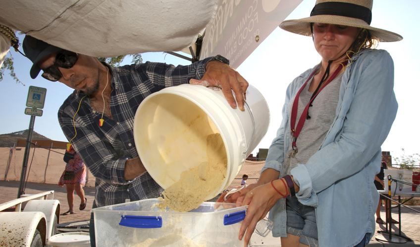 Milling mesquite bean pods to make flour