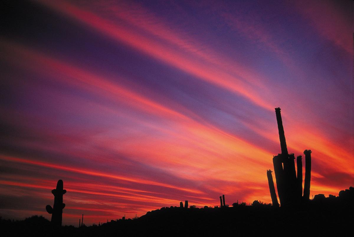 Travel Trip Desert After Dark