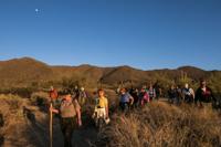 Saguaro National Park