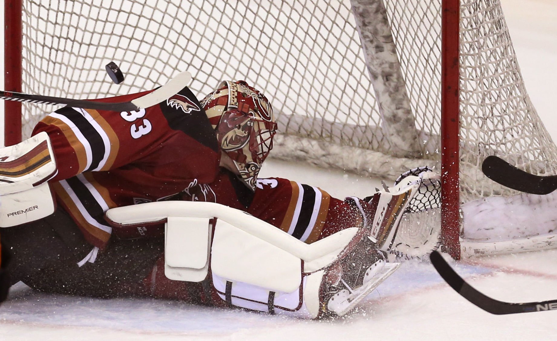 Photos: Tucson Roadrunners Vs San Diego Gulls