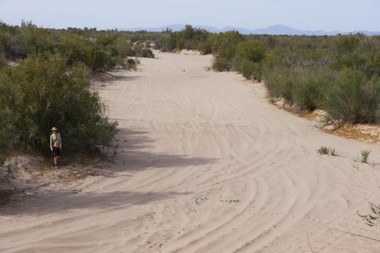 Colorado River delta before release