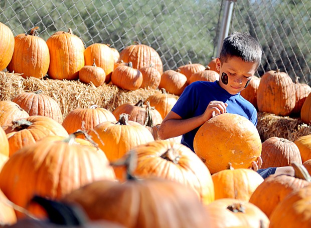 Enchanted Desert Garden reaches out to community   