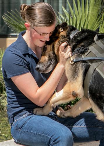 Military Dog