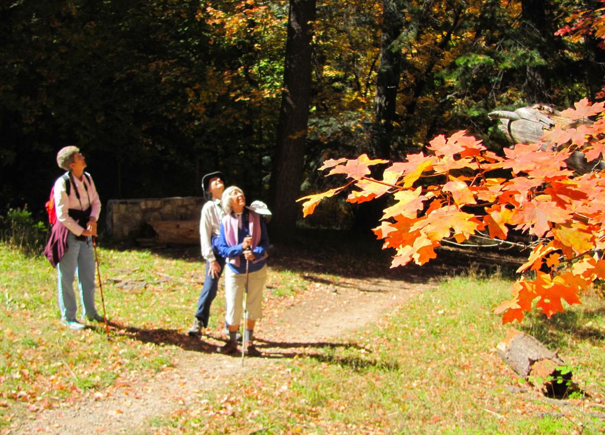 Hikers view autumn colors