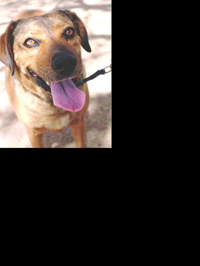 Adopt a friend: Hope