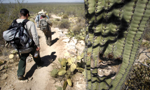 Douglas Spring Trail Clean-up