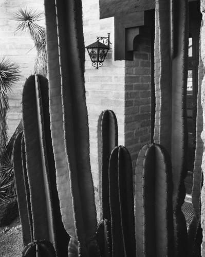 The Catalina Foothills home of the James Bailey family