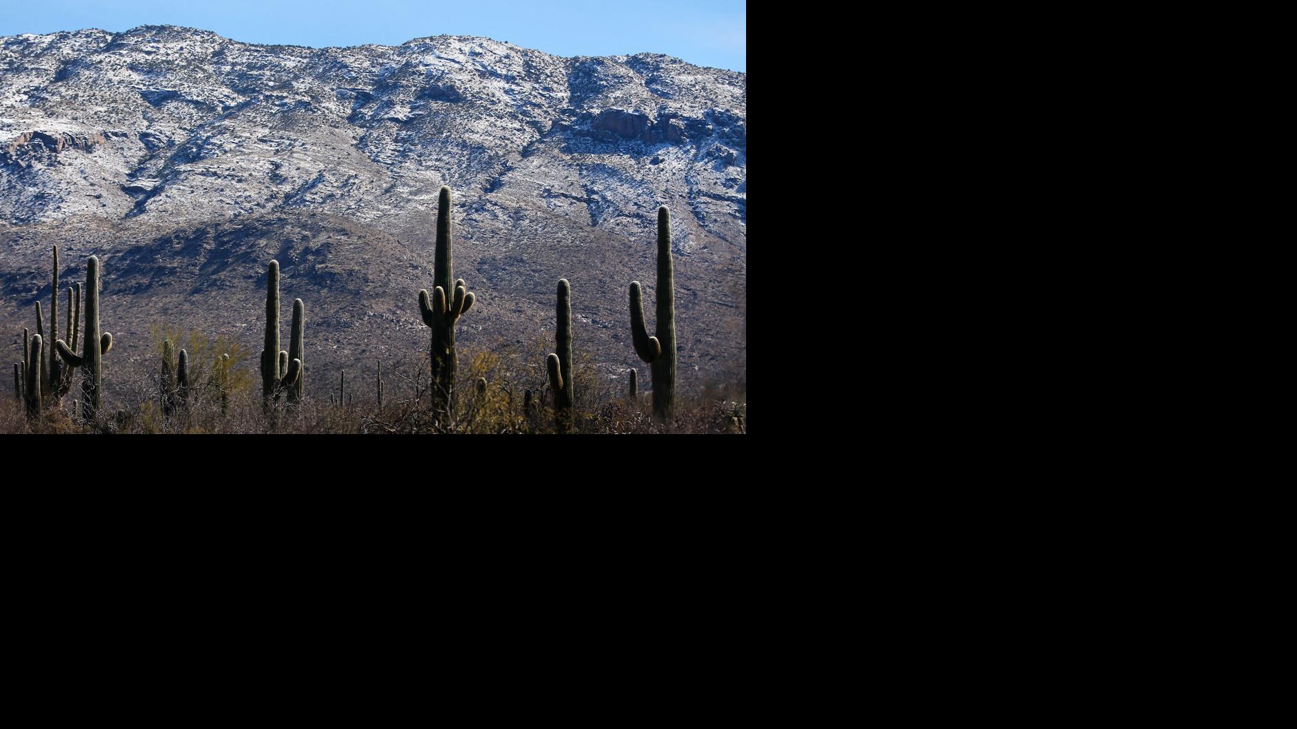 Snow in Tucson