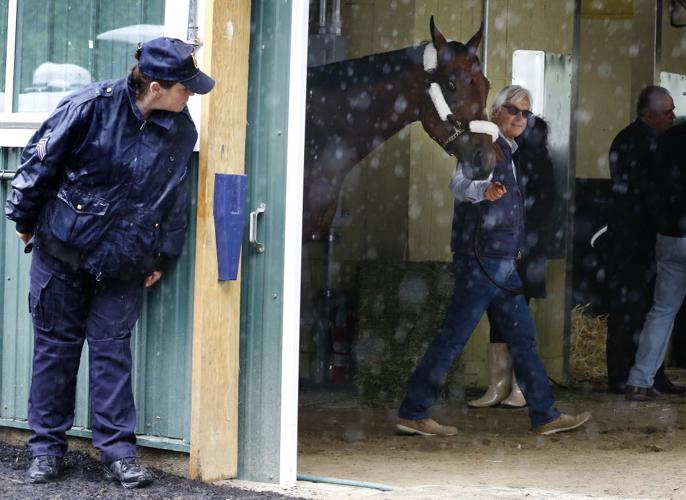 Belmont Stakes American Pharoah Arrives Horse Racing