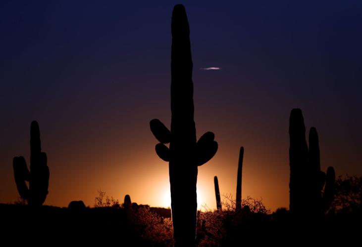 Photos: Saguaro National Park in ֱ