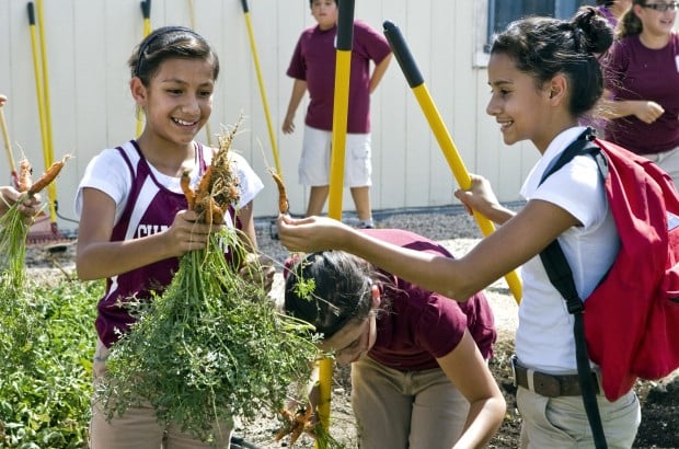 Challenger Middle School garden