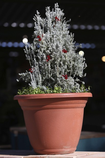Hoe! Hoe! Hoe! Holiday ideas for the gardener on your gift list