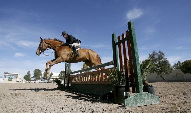 Horses, their people bring a major economic impact   