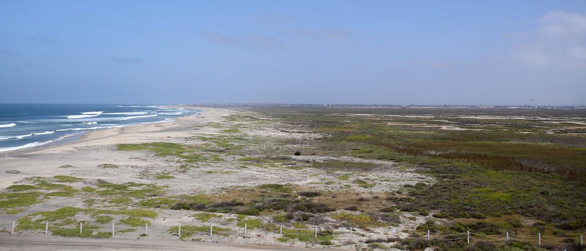 Tijuana Estuary
