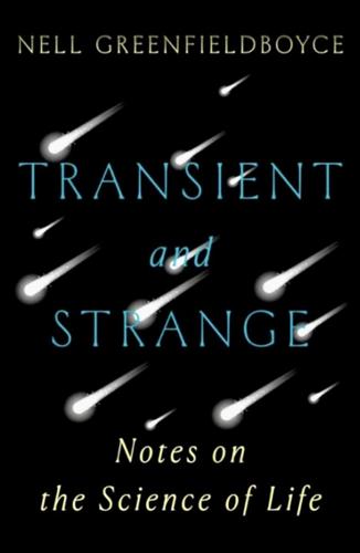 Transient and Strange