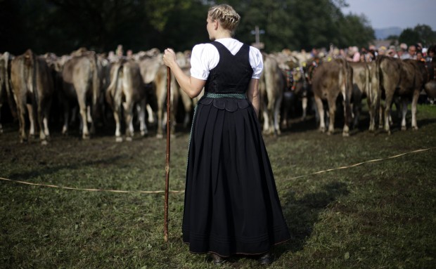Animal shots of the week