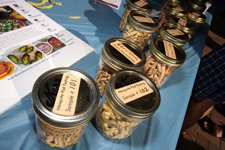 Mesquite bean pod tasting samples
