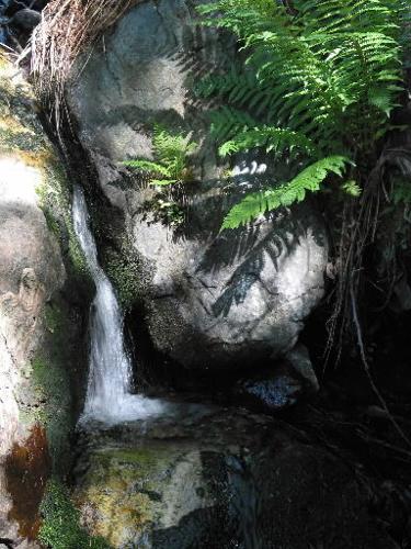 Butterfly Trail: Beauty and the Butterfly  