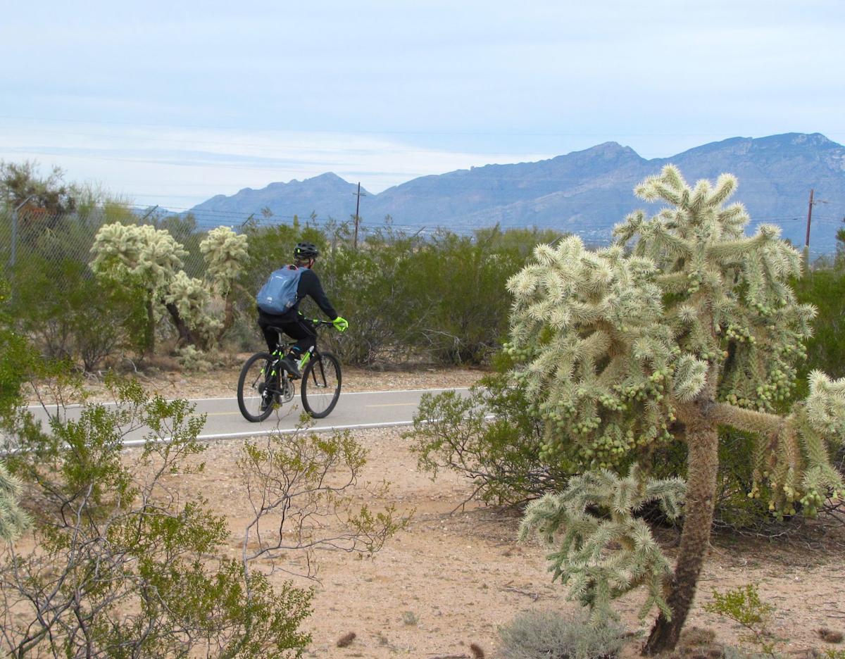 Cyclist on greenway