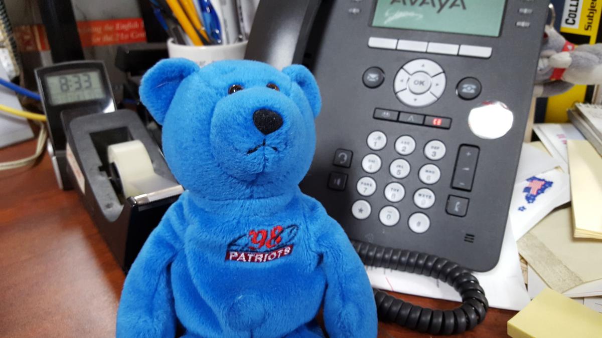 build your teddy