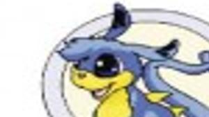 Neopets Types