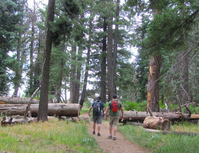 Hikers on Meadow Trail