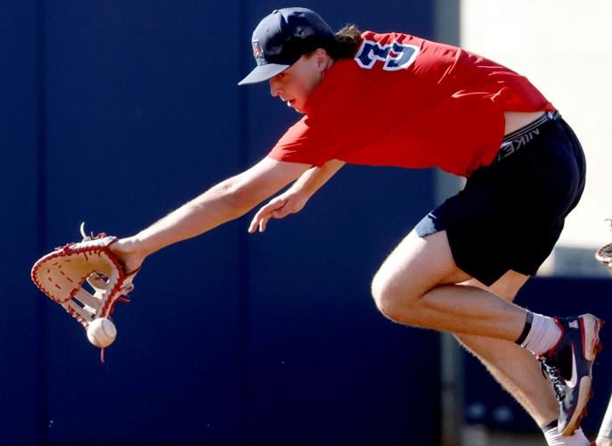 University of Arizona baseball (copy)