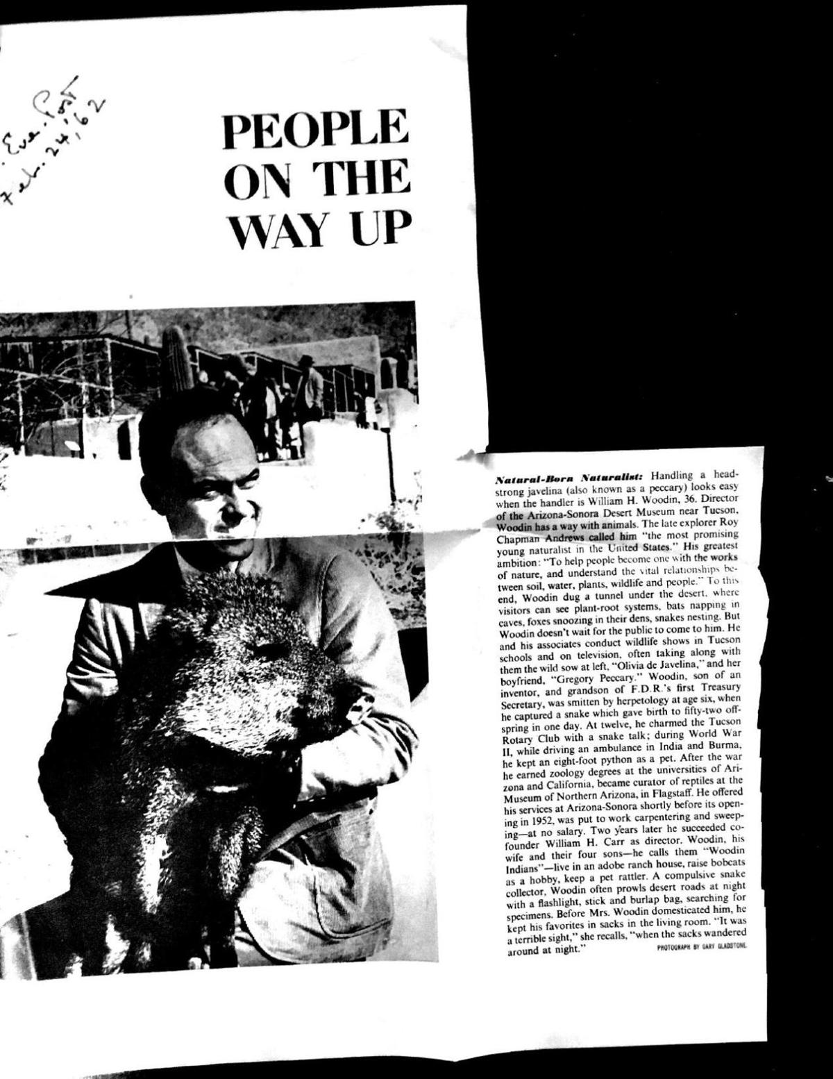 The Saturday Evening Post on Bill Woodin