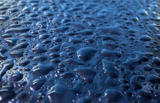 Check for mold before replacing drywall