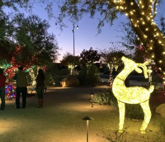 Sahuarita Christmas Lights 2020