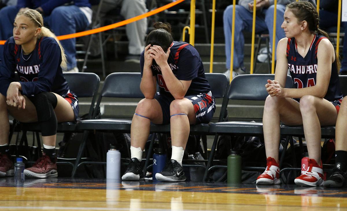 Photos Sahuaro Falls To Seton Catholic In State Class 4a Girls
