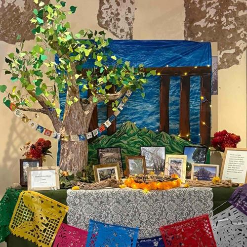 Celebrating Lost Trees at the U.S.-Mexico Border for Día de los Muertos