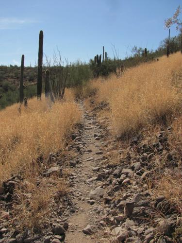 Jimenez Trail