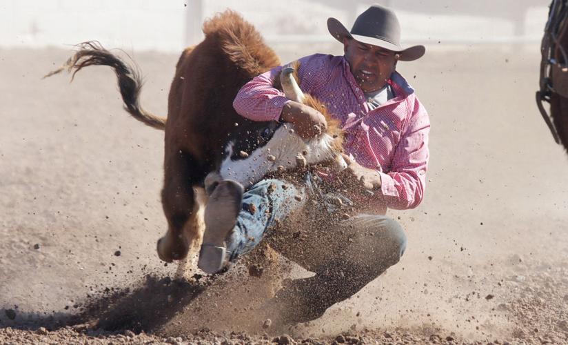 2016 Tucson Rodeo
