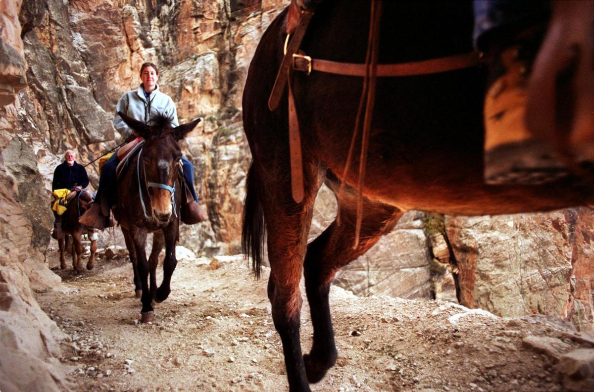 Grand Canyon National Park